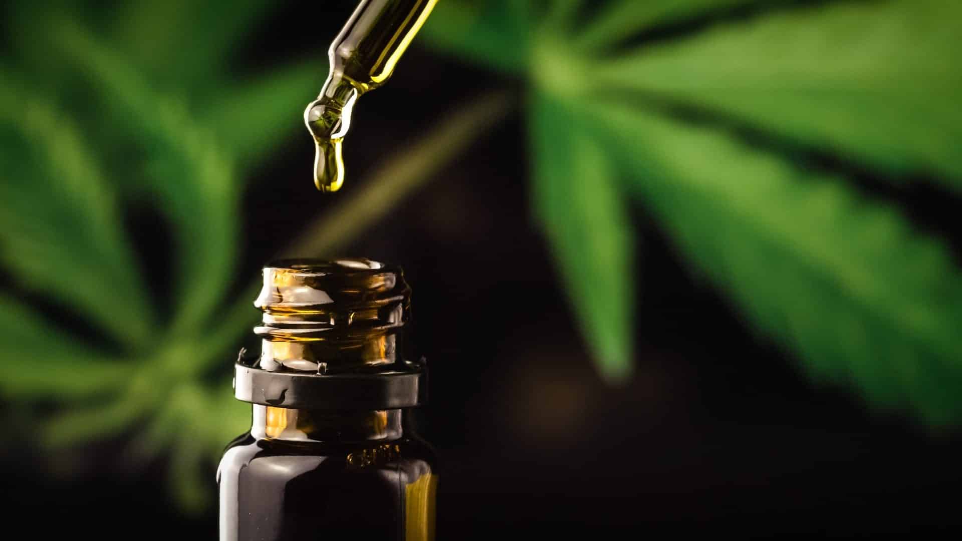 Pourquoi utiliser de l’huile de CBD ?